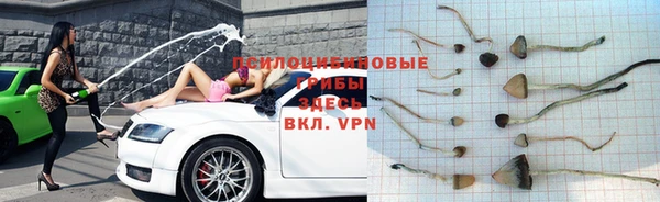 синтетический гашиш Алексин