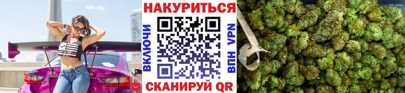 Конопля план Салехард